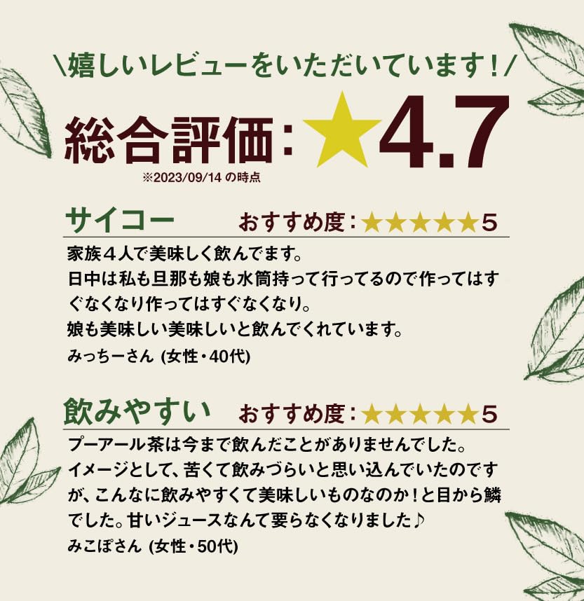Tealife Refreshing Tea for 90 Tea Bags Pu'er Pots,