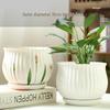 Elegant White Ceramic Flower Pot with Tray - Ideal for Ivy, Spider Plants, and Succulents