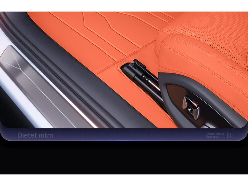 All-Inclusive Floor Mats for 2025 Lynk & Co 10EM-P: Interior Carpet and Accessories