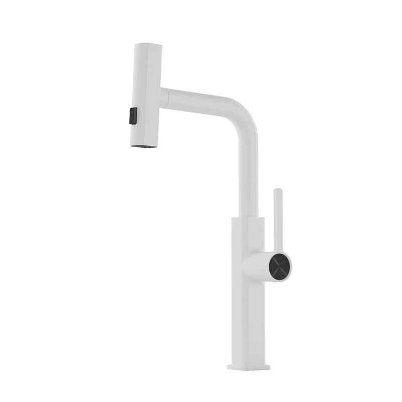 

TLXT Pull-Out Kitchen Sink Faucet