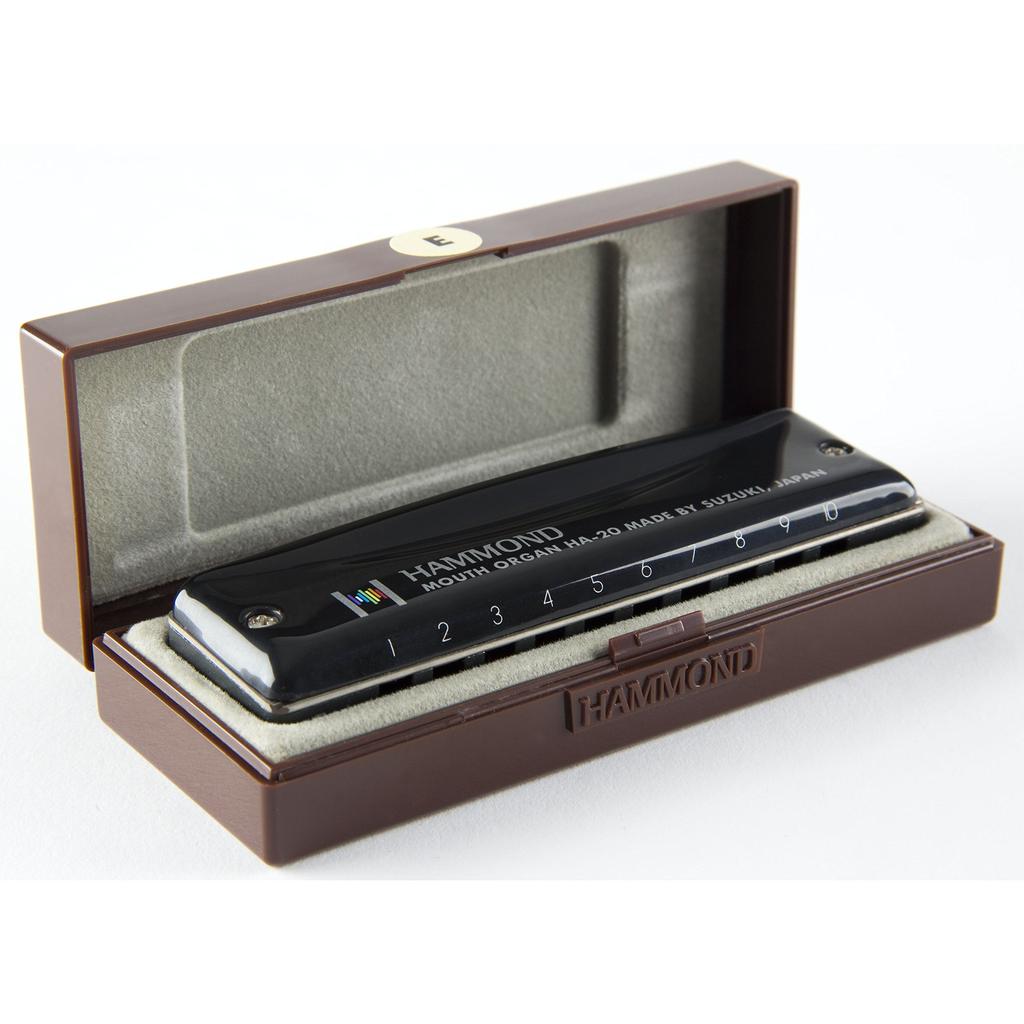 HAMMOND HA-20 10-hole Harmonica In G Key