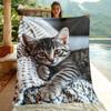 1pc Kitten in Blanket Portable Blanket- Lightweight Throwfor Sofa, Travel, Camping, Livingroom, Office, Couch, Chair, and Bed - Digital Prin