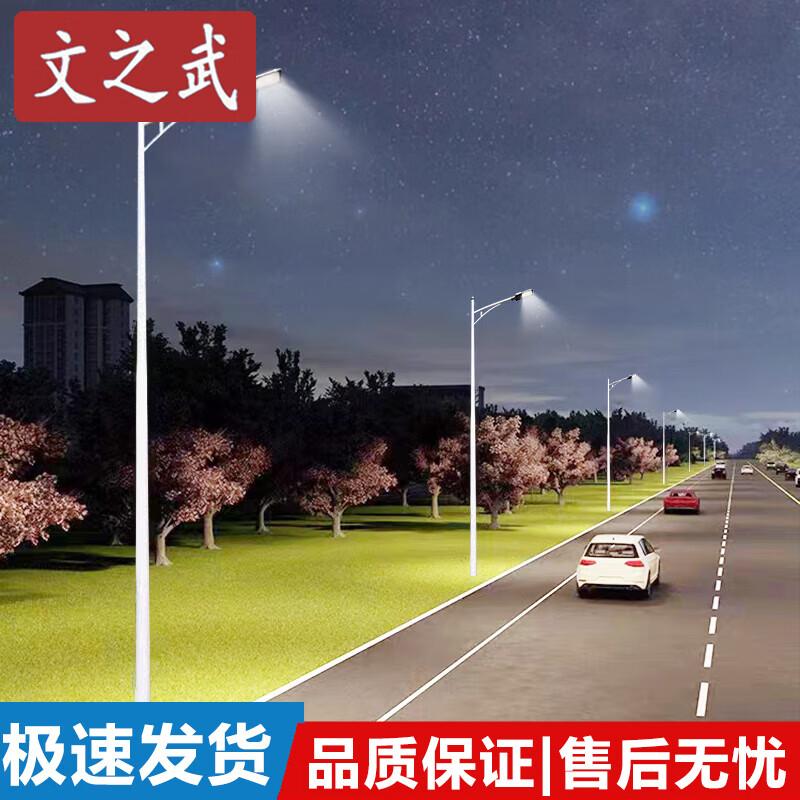 Wen Zhi Wu Mains-Powered LED Street Light