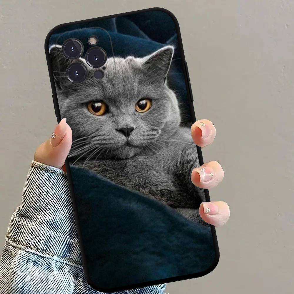 British shorthair cat Phone Case Black Soft Silicone TPU Phone Case For IPhone 11 12 13 14 15 16 17 Pro Plus Mini Max