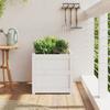 Plant Pot White 50x50x50 Cm Solid Pine Wood