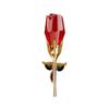 Red Rose Perfume for Women with Long Lasting Fragrance