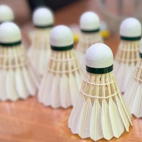 12Pcs Professional Badminton Shuttlecocks Tournament Grade Training Badminton Shuttlecocks High Speed Stable Flight Sport Accessories