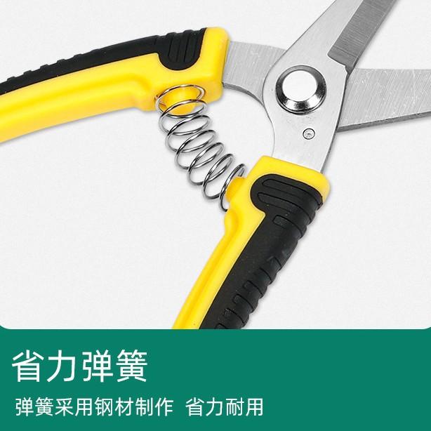 Stainless Steel Pruning Cut Flower Branch Shears Gardening Cut Fruit Cut Tree Branch Shears Garden Tools