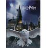 Harry Potter Cushion + Plaid Set