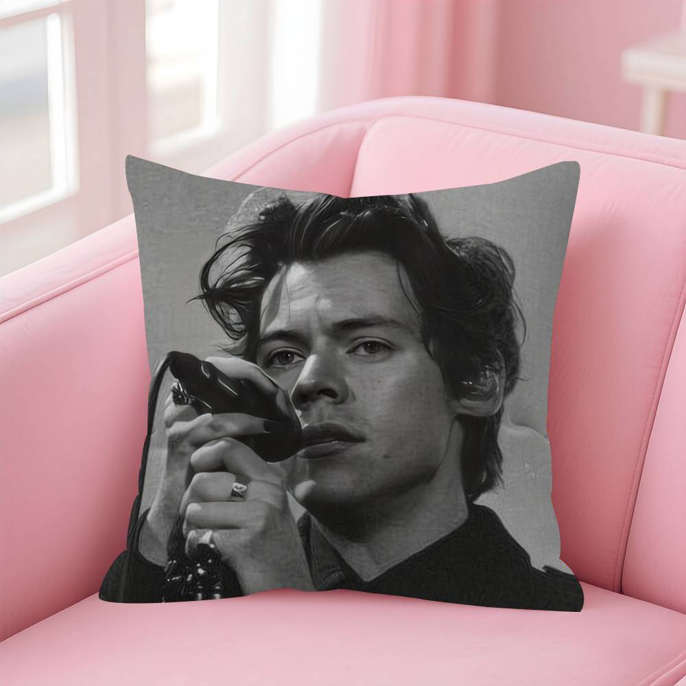 Singer harris styles Stitch Lucky Dragon pillow cover sofa cushion cover home room decoration children gift