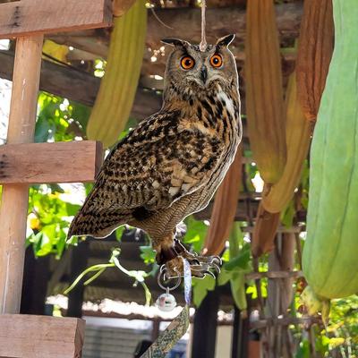 Vogelwerende Apparaten Met Belletjes Vogelwerend Uil Schrikpop Rechthoekig Hangend Nep Vogelverschrikker Waterdicht Vogelafweerder Buiten