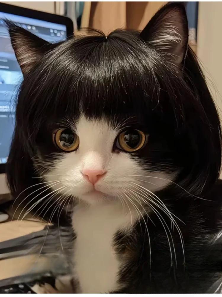 Curly Straight Halloween Pet Wig for Dogs And Cats DIY Trimmable Dog Wig Pet Supplies Halloween Pet Accessories