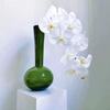 Olive Green French Vintage Vase Swan Neck Glass Hydroponic Vase Unique Luxury Artistic Planter Floral Arrangement