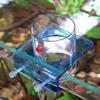 Fixed Point Feeding Fish Tank Feeder Anti-Scatter Design Feed Holder  Saltwater Marine Tank