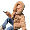 Winter New Big Fur Collar Cotton Clothes Women's Short Loose Casual Thickened Small Jacket