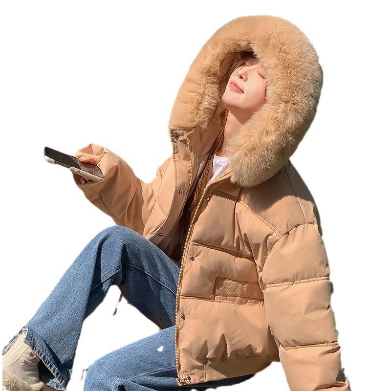 Winter New Big Fur Collar Cotton Clothes Women's Short Loose Casual Thickened Small Jacket