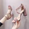 Französische Sandalen Damen 2025 neu Feenstil dicker Absatz Temperament Ein-Wort-Schnalle gekreuzte Riemen erhöhend Römische High Heels