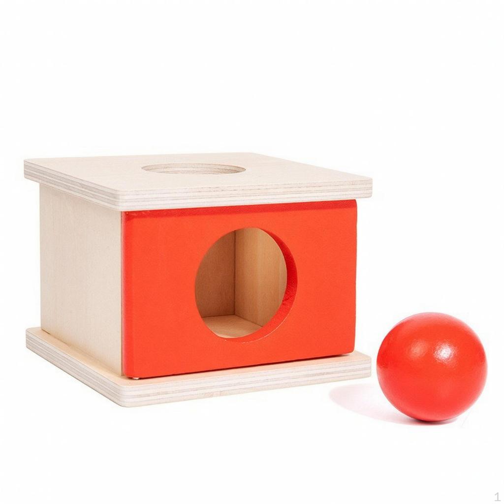 Educational Wooden ShapeSorting Box | HandEye Coordination exercise ProblemSolving Skill Building,