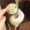20/40cm Adults Kids Stuffed Animal Plush 2025 New Year Snake Mascots Ornaments for Car Home Decoration Boys Girls Gifts