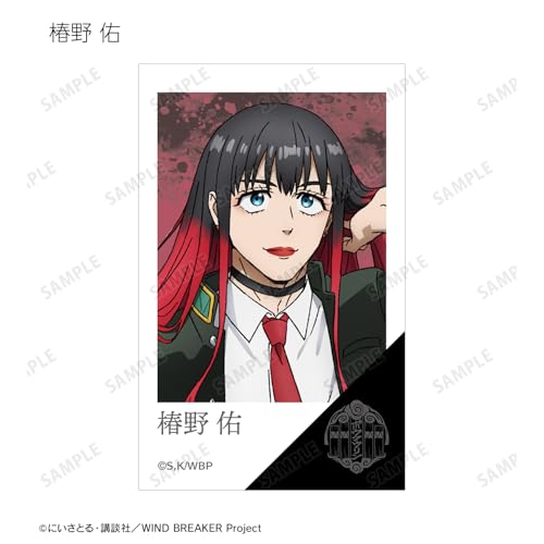 TV Anime "WIND BREAKER" Trading Instant Camera Style Illustration Cards Box of 10
