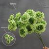 Asparagus Fern & Willow Buds Greenery for Wedding Decor & Landscaping