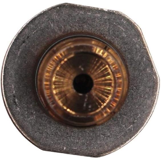 Oil Pressure Sensor Compatible with Delphi Compatible with Hyundai Kia Compatible with Hevrolet Fuel Common Rail Pressure Sensor 9307Z528A 55PP30-01