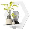 Hexagon Punch Free Wall Display Stand Flower Pot Holder Wall Shelf for Home TV Background Decor