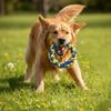 Set of 12 strong chew toys for dogs, strong and durable set of PetJet toys