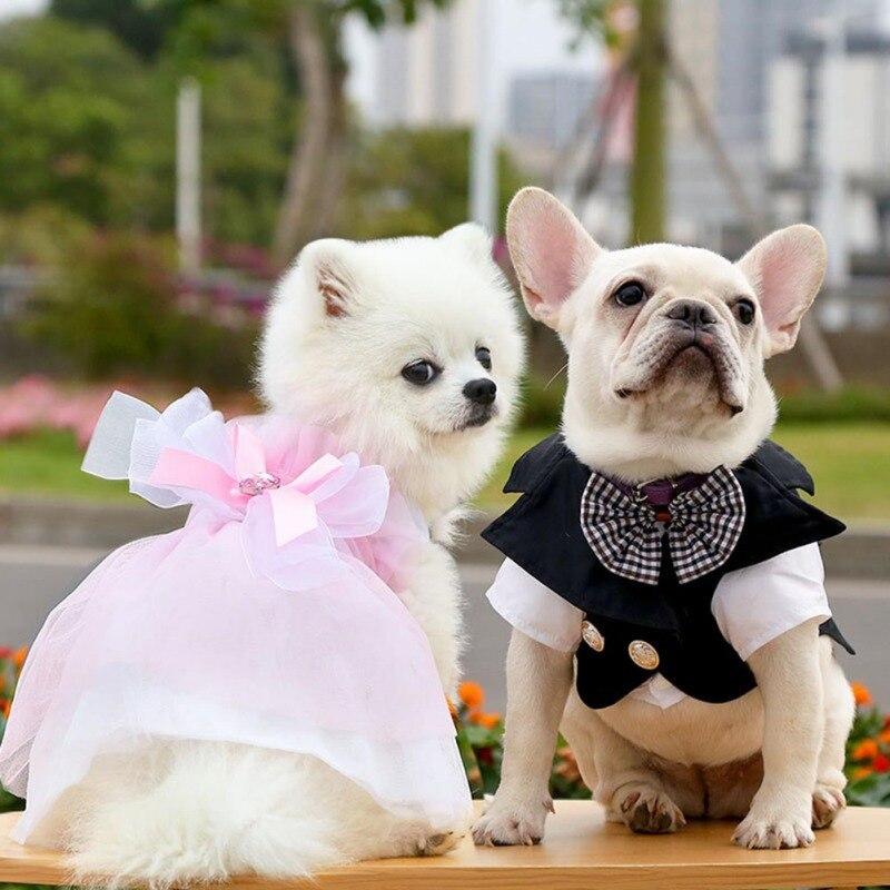 Caballero perro y gato ropa traje de novia camisa formal para perros  pequeños Bowtie esmoquin traje de mascota para cat spring y trajes de  verano comprar a buen precio — entrega gratuita,