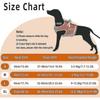 Dog Cooling Vest Harness,outdoor Puppy Cooler Jacket Reflective Breathable Dog Vest For Small Medium Large Dogs