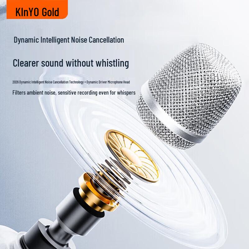 KINYO KTV Wireless Microphone Speaker System