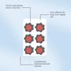 Body Care Patch Refreshing, Breathable, Comfortable. Lightweight For Movement. Suitable For External Use. Care Patch For The Body.