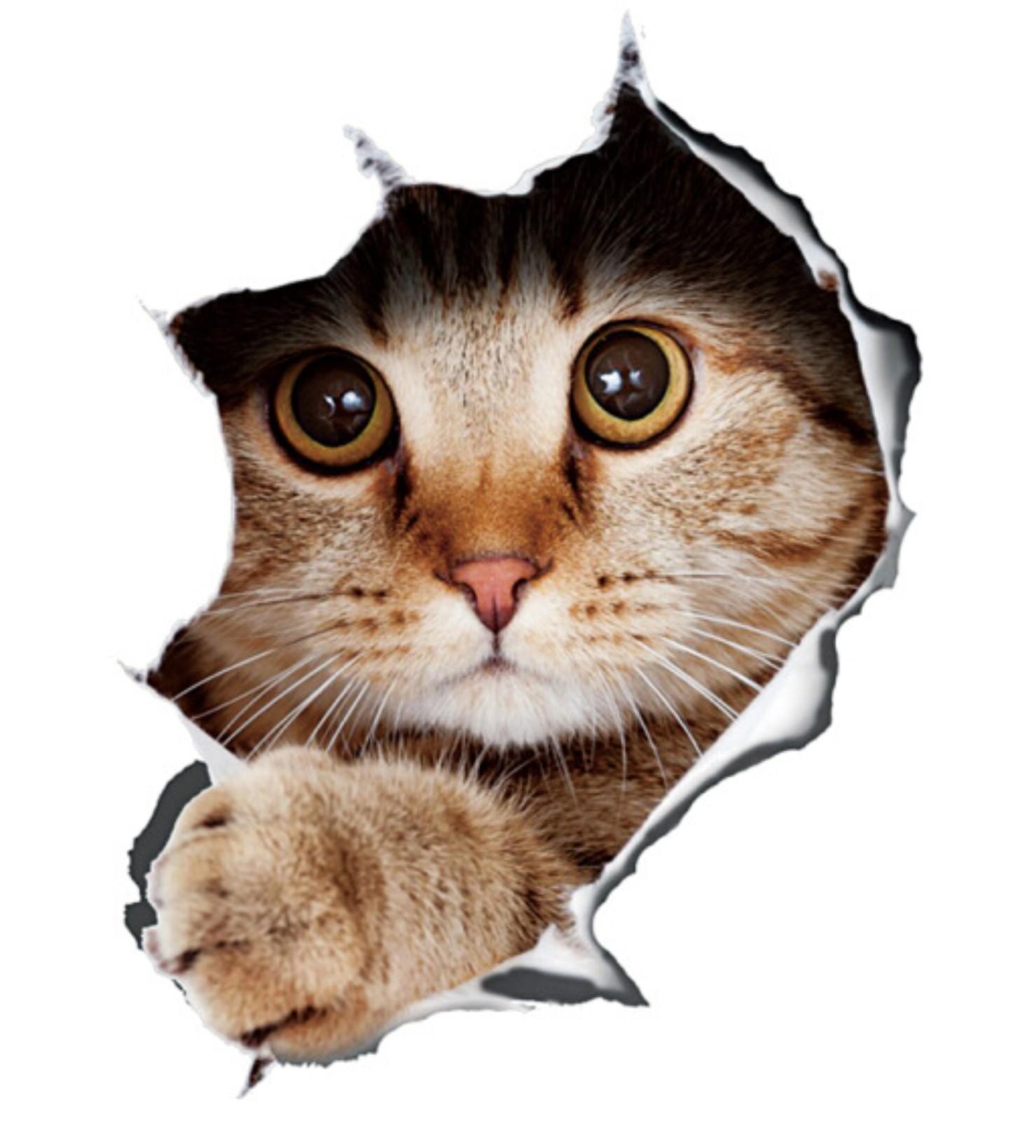 

Персонализированная 3D трехмерная наклейка на автомобиль Милый смешной кот для покрытия кузова и задних царапин One Size