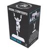 Figurine - nemesis now - crane kick stormtrooper - blanc - star wars - 15 ans et plus