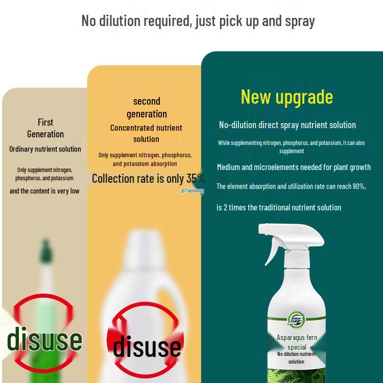 Asparagus Fern Liquid Nutrient Solution for Indoor Plants