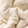 Milk Fleece Podzim Zima Teplé vážené přikrývky do postelí Evropská zesílená Beibei sametová přikrývka Teplá přikrývka