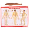 Strumenti Gua Sha Massaggio Punti Trigger Legno Collo Piede Palestra Domestica Professionale Strumento Massaggio Riflessologia Legno Bastoncino Massaggio Piede Thailandese