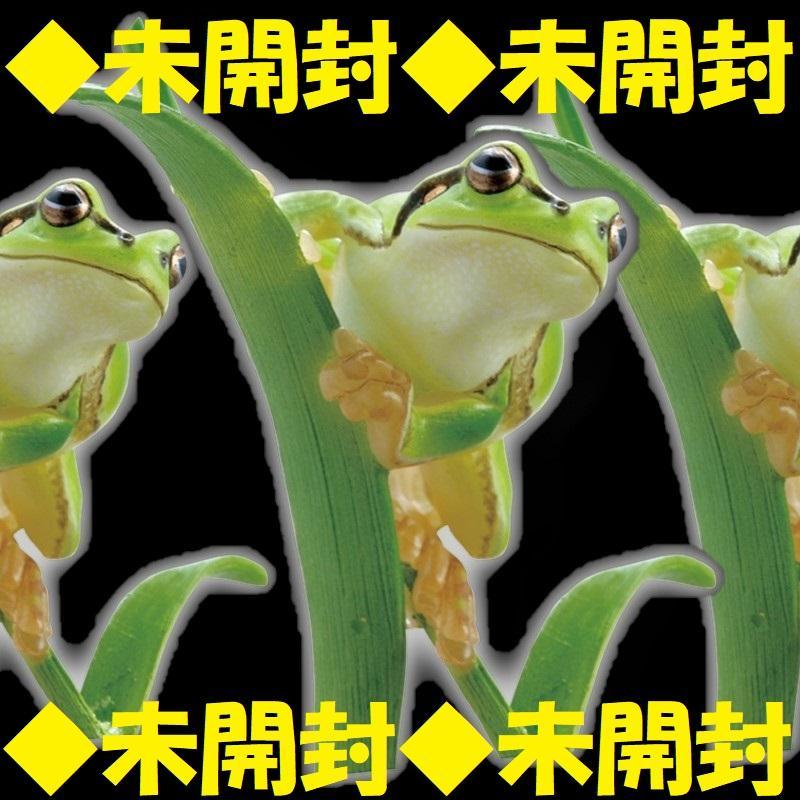 

[Б/У] Японская древесная лягушка, Nature Technicolor, Японская лягушка Kitan Kitan