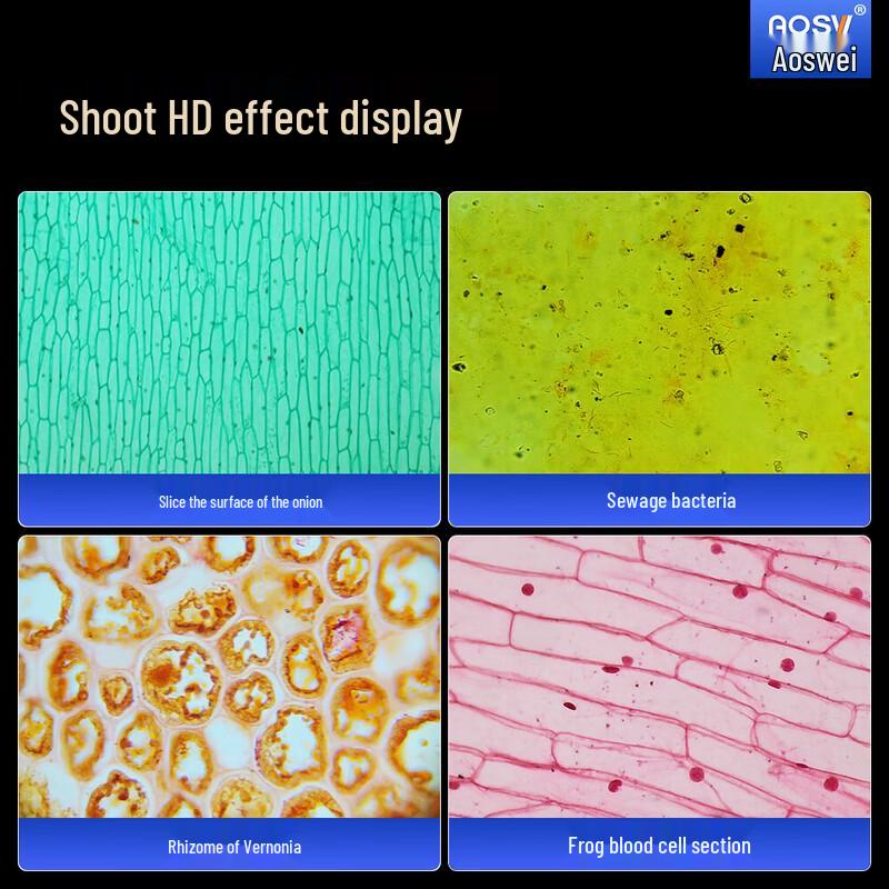 AOSVI Professional Biological Microscope