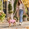 Warm Vest for Small and Medium Dogs and Cats, Winter Pet Clothes for Cold