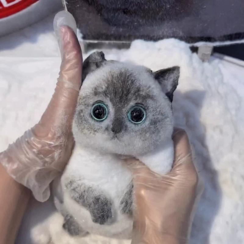 Süße Kawaii Katze Weiches Silikon Stressabbau Knetspielzeug Angstlinderung Schreibtisch Geschenk Für Kinder Erwachsene Schreibtisch Dekoration Geschenk