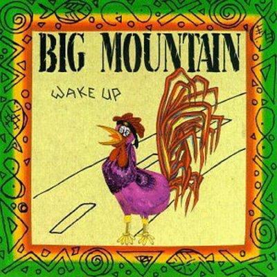 

CD BIG MOUNTAIN Wake Up 74321267482 Giant Records 1992 Europe Reggae Ska Dub Used