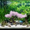 Realistic Aquarium Cherry Blossom Plastic Landscape Tree Fish Tank Ornament  Pet Accessories