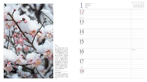 Calendar 2026 FLOWER CALENDAR Flower Calendar (Monthly Diary/Diary/Ring/Flower) (Yamakei Calendar 2026)