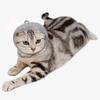 Breathable Mesh Cat Collar & Muzzle - Anti-Stress Pet Accessory