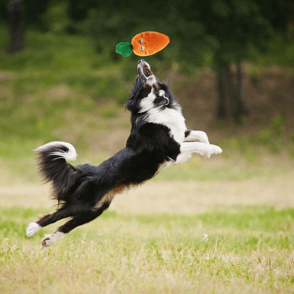 2 pcs Orange Carrot Shape Plush Dog Toy Soft Plush Fabric Dog Chew Toy  Small Medium Dog Use