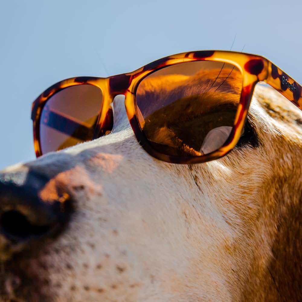Goodr OG Series UV and Mirrored for Men and Perfect for Mountain and Outdoor Activities Basset Hound [goodr] Sunglasses, Lightweight, Polarized,