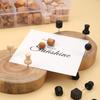 Drawing Push Pins Map Tacks Wood Plastic Materials Assorted Size Irregular Head Practical for Cork Boards Craft Marking