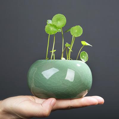 Yousheng Ceramic Bowl Lotus Planter Round Mini Flowerpot Glazed Bonsai Bowl Lotus Pot for Planting Pennywort Small Hydroponic Plants