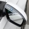 Para VOLKSWAGEN VW 2 Piezas Pegatinas Protectoras para Espejo Retrovisor de Coche para Volkswagen Passat Golf Bora Jetta Beetle Scirocco POLO S